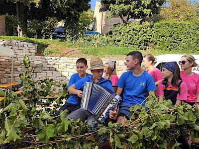 Buje proslavile 119. Dane grožđa: Tri dana ispunjena vinom, glazbom i tradicijom