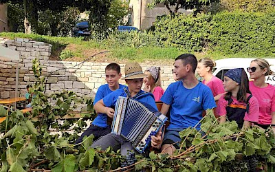 Buje proslavile 119. Dane grožđa: Tri dana ispunjena vinom, glazbom i tradicijom