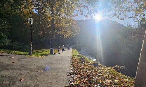 Samobor: Savršen odabir za izlet u grad kremšnita i srednjovjekovne povijesti
