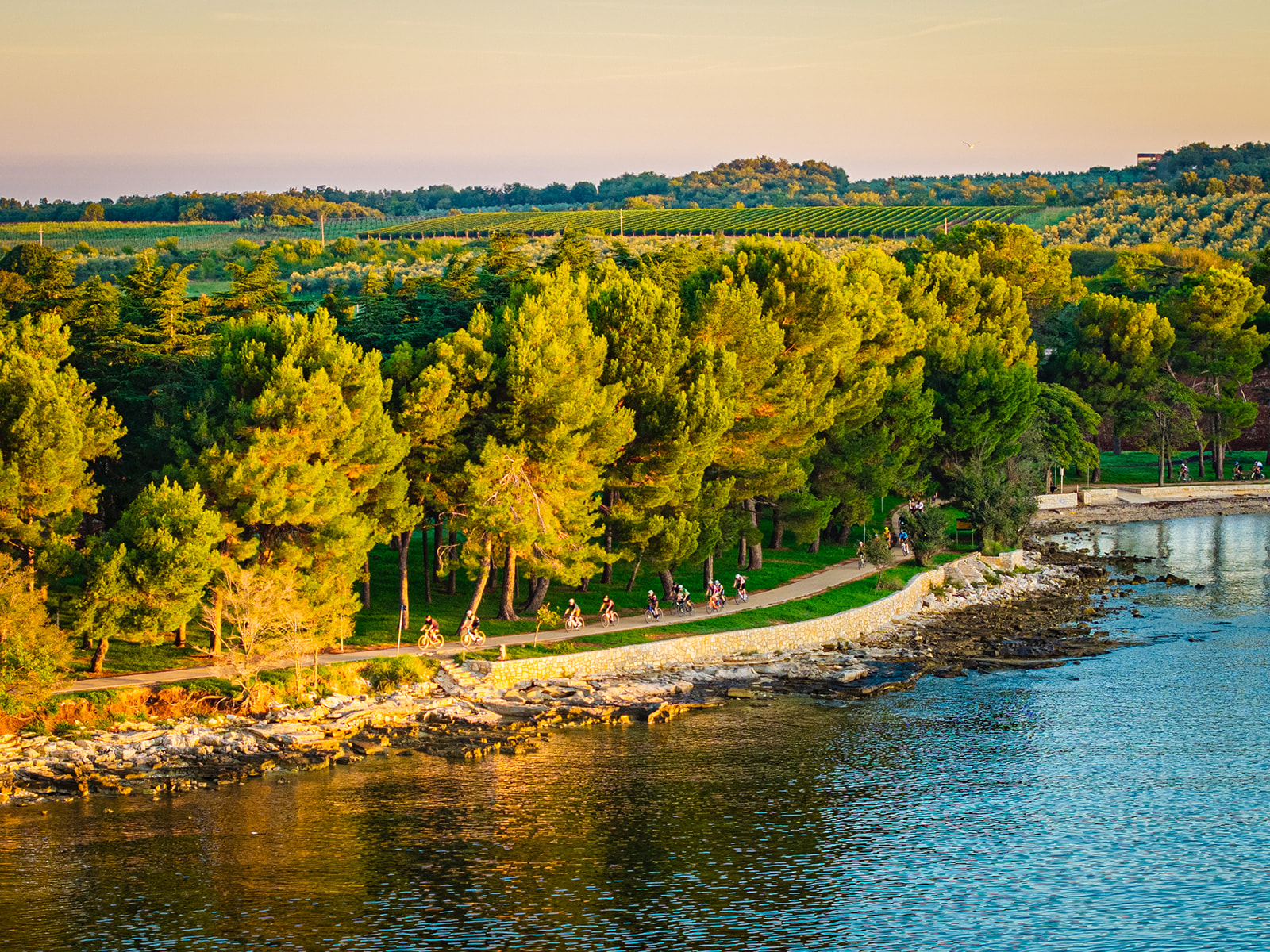 Istra na vrhu  Europe: Povijesni trijumf našeg turizma u Padovi