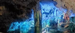 gallery_images-1.jpg
